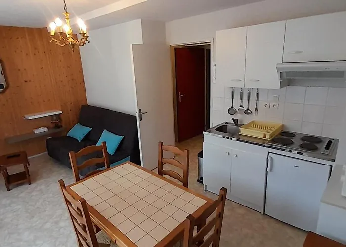Studio 23M² Les Hermines N°41