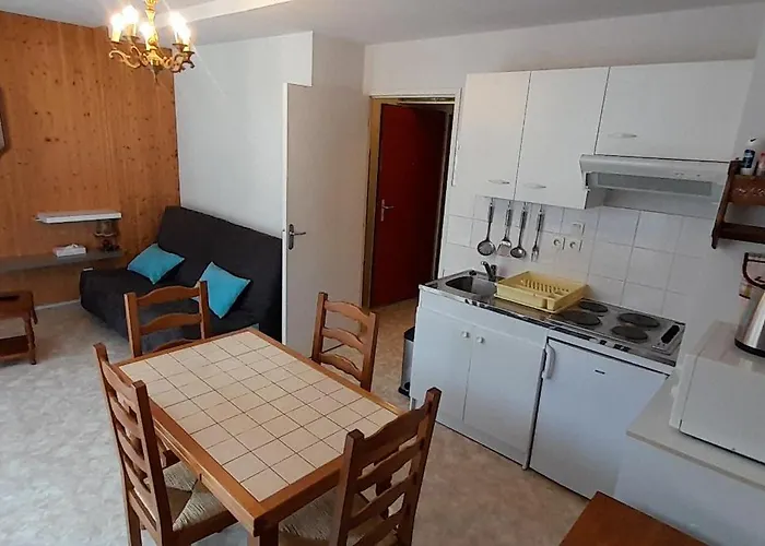 Studio 23M² Les Hermines N°41